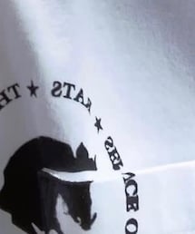 RATS | Tシャツ/カットソー
