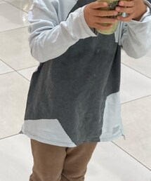 ZARA | Tシャツ/カットソー