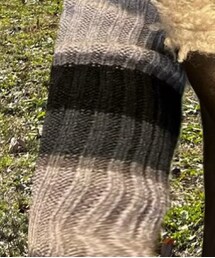 EMODA | ニット/セーター