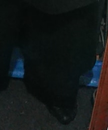 ZARA | その他パンツ