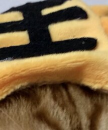 Amazon | その他ペットグッズ