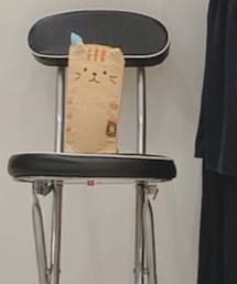とらねこちゃんベットボトルケース💕😻 | その他ペットグッズ