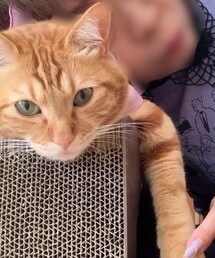 ラテちゃん💕 | 福袋/福箱