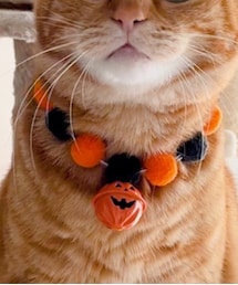 ダイソー | リード/ハーネス/首輪