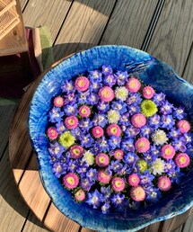 花手水🌼 | その他