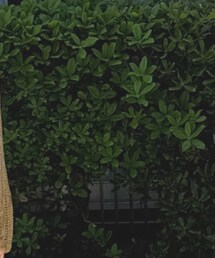 JULY NINE | バッグ