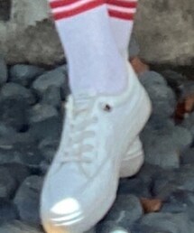 PLAYBOY | ソックス/靴下