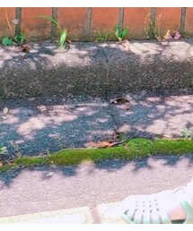 Import & Select | サンダル