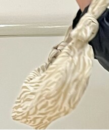 ZARA | ハンドバッグ