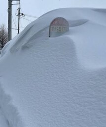 昨日の札幌 | バス停だがたぶん乗れない(その他)
