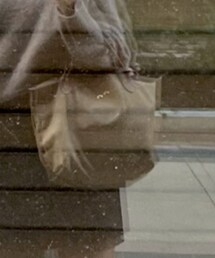 LONGCHAMP | ハンドバッグ