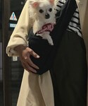 dogpeaceの「ペットグッズ(ペット用キャリーケース)」