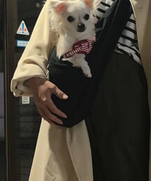 dogpeace | ペット用キャリーケース