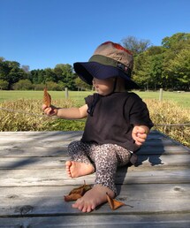 落ち葉🍁 | その他