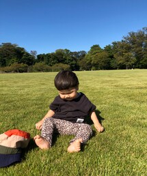 やっぱり | その他