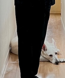 COMME des GARCONS HOMME | スラックス