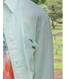 USED | シャツ/ブラウス