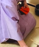 夏紬の「水着/着物・浴衣(着物)」