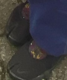 niko and... | パンツ