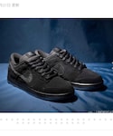 NIKE(ナイキ)の「シューズ(スニーカー)」