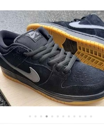 NIKE SB | Nike SB Dunk Low "Fog" 28(スニーカー)