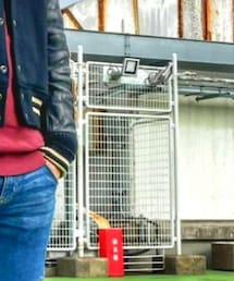 Champion | パーカー