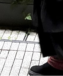 SHEEN | スリッポン