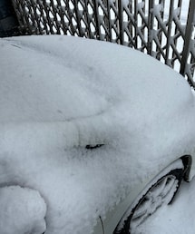 めっちゃ雪 | その他