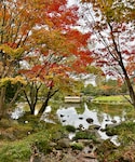 紅葉2024の「その他(その他)」
