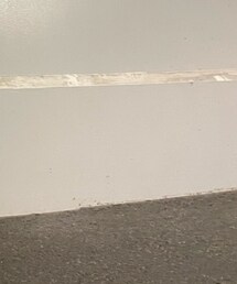 CITEN | トートバッグ