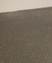 niko and... | サンダル