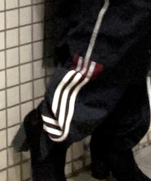 adidas | パンツ