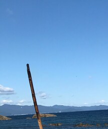 流木 | ファッション雑貨