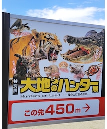 大阪市立自然史博物館 | ペットグッズ