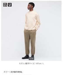 UNIQLO | モックネックプルオーバー Sサイズ 30Natural(Tシャツ/カットソー)