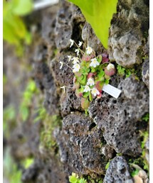 壁面まで展示がある👀 | その他