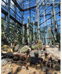 そびえ立つ🌵 | アウトドア/スポーツ