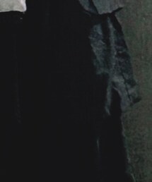 Te chichi | スカート