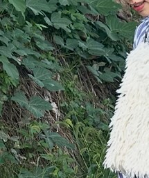 Te chichi | キャミソール