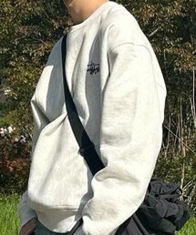 STUSSY | スウェット