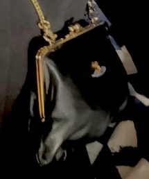 Vivienne Westwood | バッグ