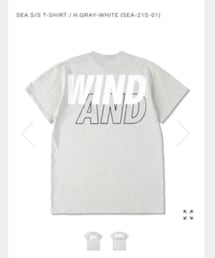 WIND AND SEA | ウィンダンシー　ビックロゴ　グレー(Tシャツ/カットソー)
