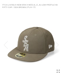 WIND AND SEA | wind and sea × NEW ERA キャップ BROWN(キャップ)