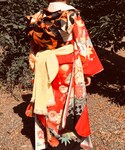 藤本美貴の「水着/着物・浴衣(着物)」