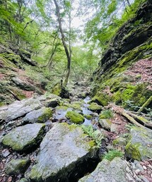 御岳山「ロックガーデン」 | その他
