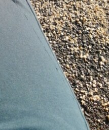 Golden Bear | パンツ