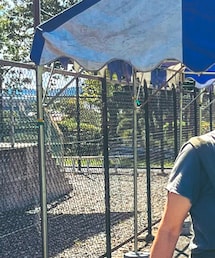 Pledge | ヲットからパクりモノ(Tシャツ/カットソー)