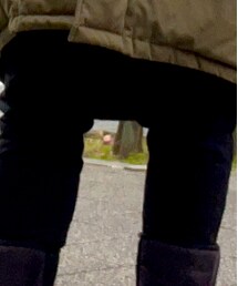 THE NORTH FACE | その他パンツ