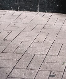 HONGKONG | その他
