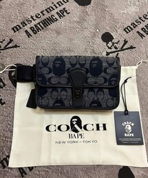 COACH | A bathing ape & COACH 連名(ショルダーバッグ)